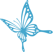 tml-2024-summer-questionnaire-butterfly